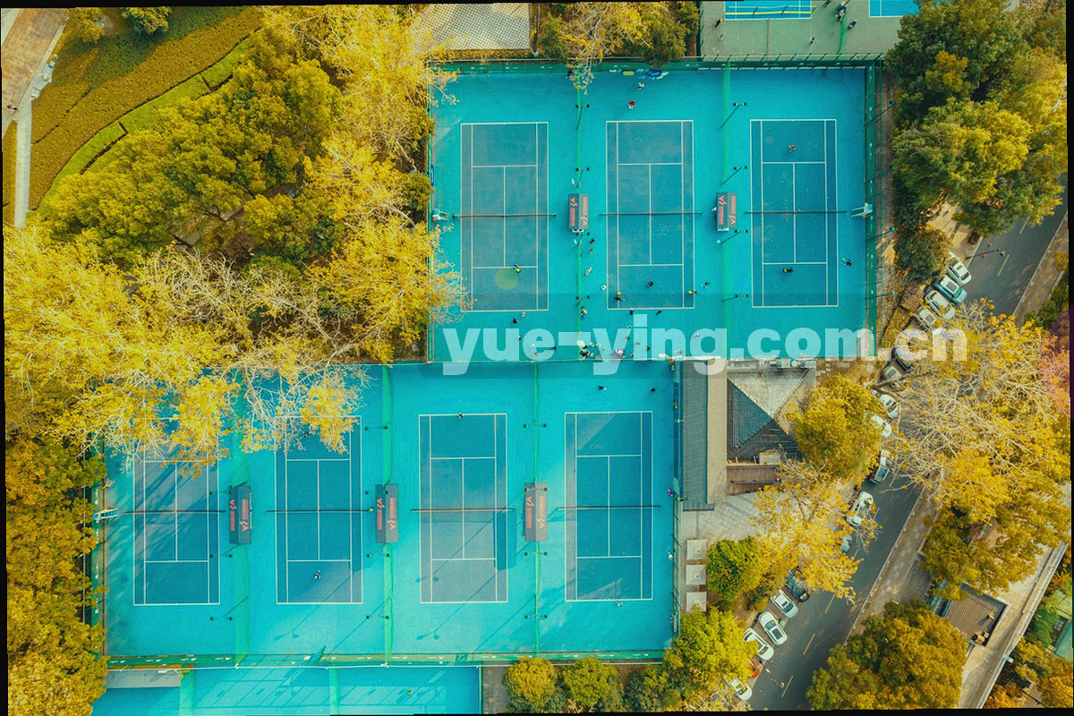 足球场全景，绿色草坪与白色标线